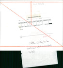 Animals Cattle waiting  to be auction. - Vintage Photograph