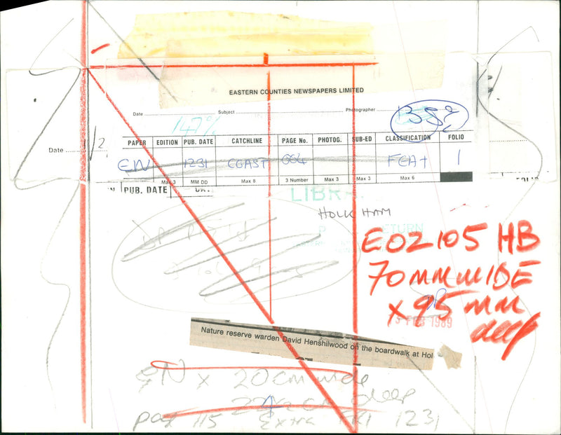 Holkham Nature Reserve - Vintage Photograph