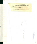 Flame-Scarred Pine Trees at Holkham - Vintage Photograph