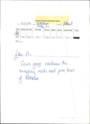 Holkham National Nature Reserve - Cows Graze - Vintage Photograph