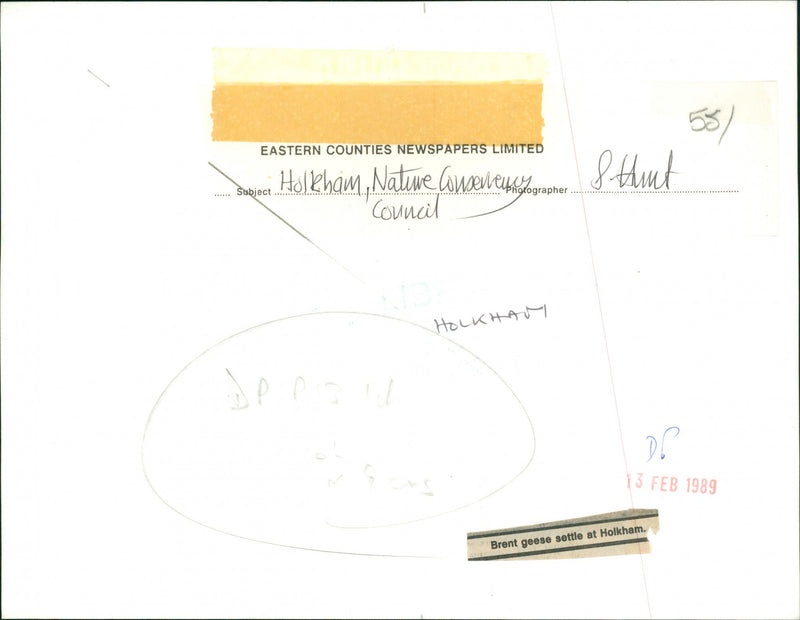 Holkham National Nature Reserve - Brent Geese Settle - Vintage Photograph