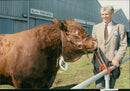 Cattle animals:pat cole with mr B F bassetes. - Vintage Photograph