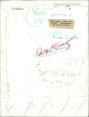 Birds: Owls - Vintage Photograph