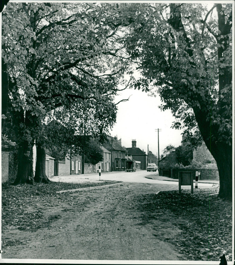 Lakenheath Avenue - Vintage Photograph