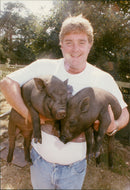 Pigs - Vintage Photograph