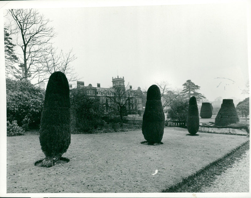 Somerleyton Hall from the nature trail. - Vintage Photograph