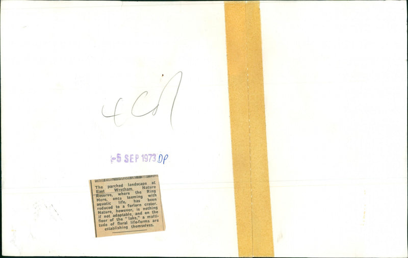 The Patched Landscape at Wretham Village. - Vintage Photograph