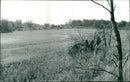The Patched Landscape at Wretham Village. - Vintage Photograph