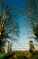 Rural Autumn scene at Wetheringsett. - Vintage Photograph