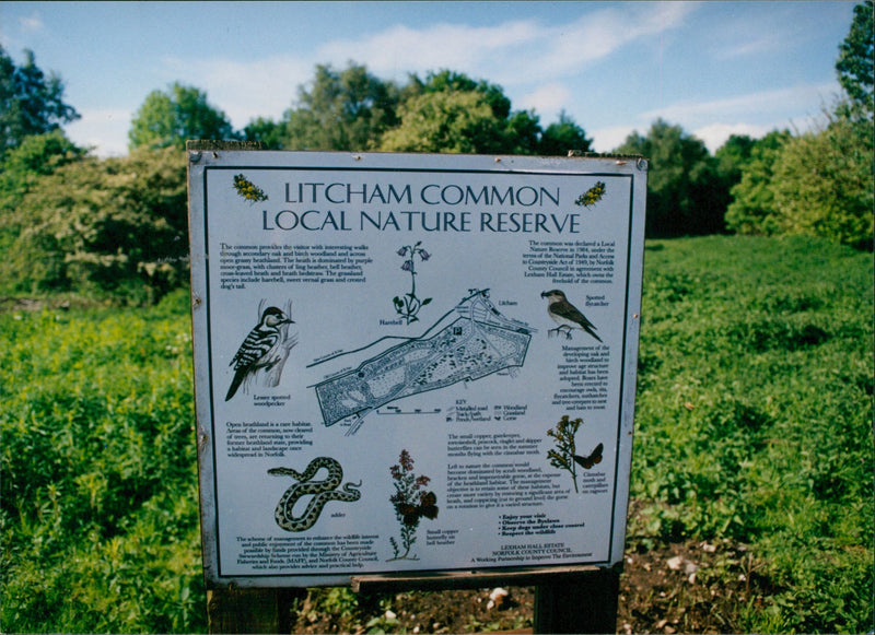 Litcham Common Local Nature Reserve - Vintage Photograph