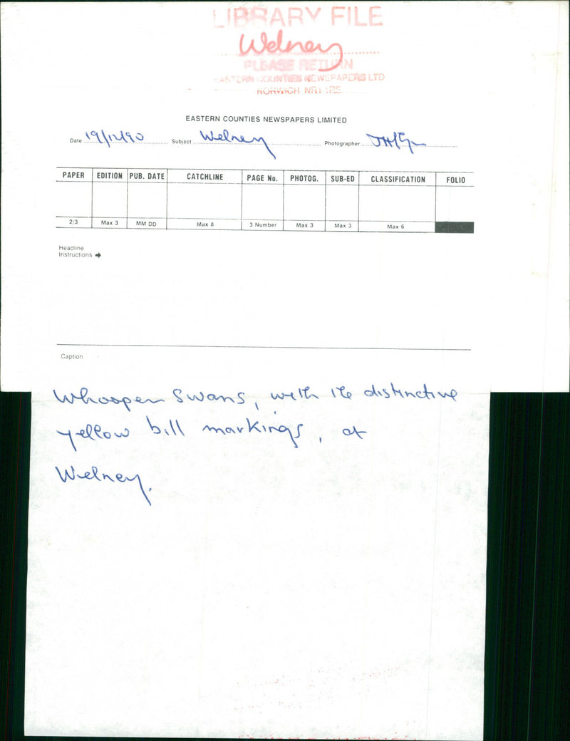 Welney - Vintage Photograph