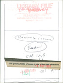 Welney - Vintage Photograph