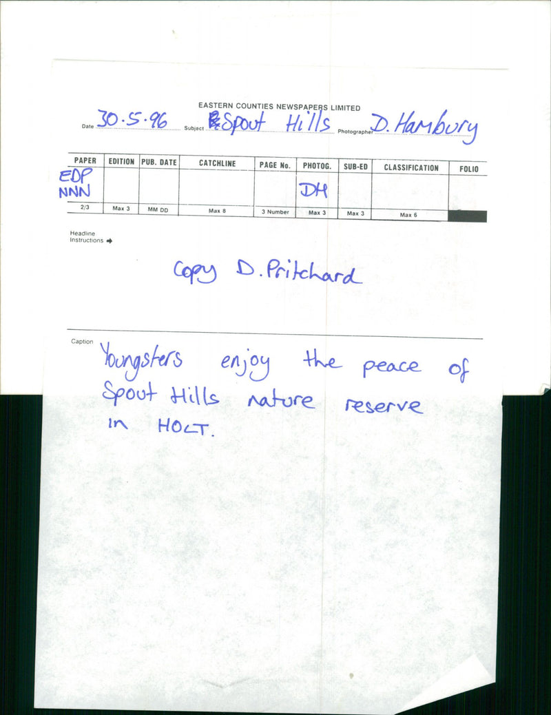 Spout Hills nature reserve in Holt. - Vintage Photograph