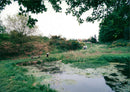 Spout Hills nature reserve in Holt. - Vintage Photograph