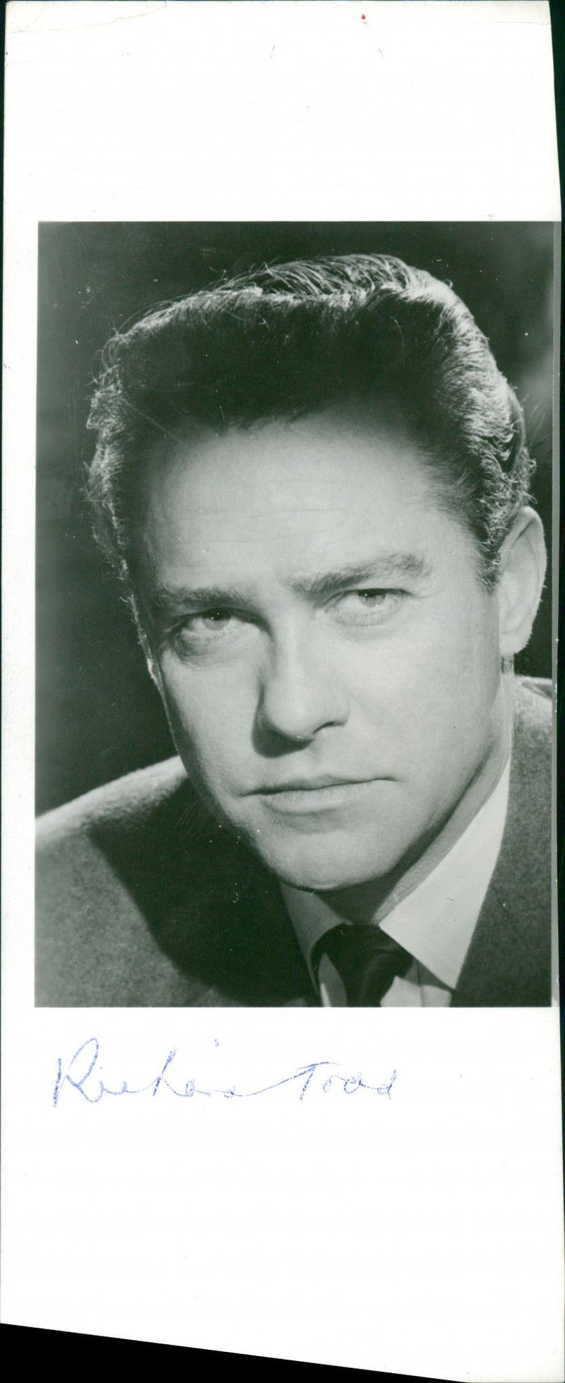 Todd Richard Musical artist. - Vintage Photograph