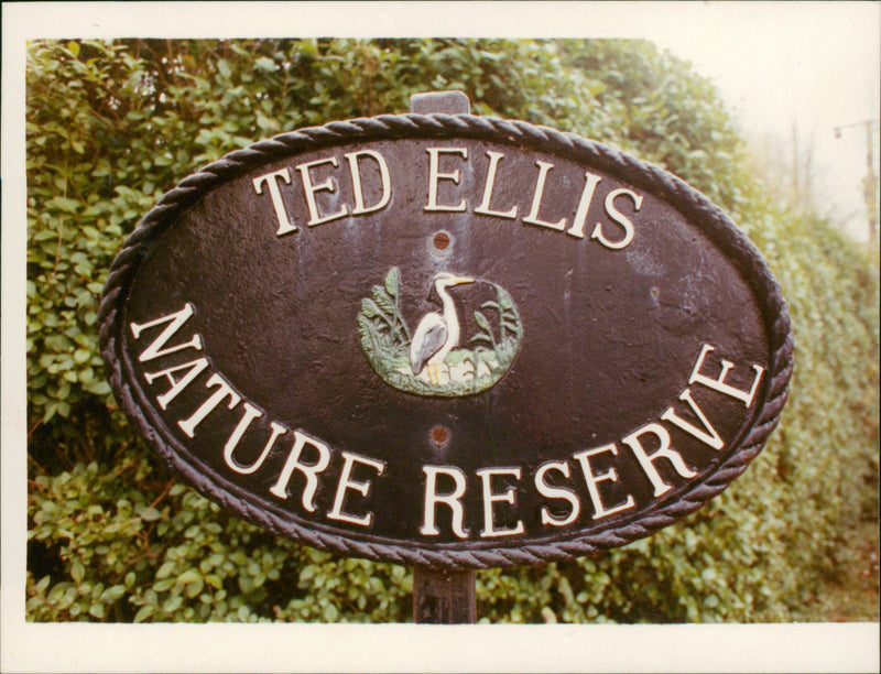 Ted Ellis Nature Reserve Sign. - Vintage Photograph