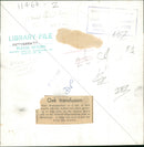 Oak Transfusion. - Vintage Photograph