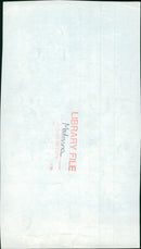 Madonna American singer-songwriter. - Vintage Photograph