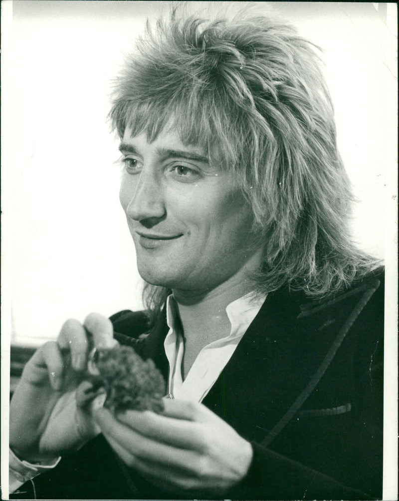 Rod Stewart Singer-songwriter. - Vintage Photograph