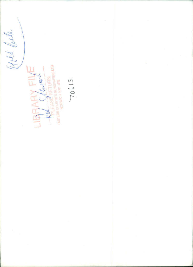 Rod Stewart Singer-songwriter. - Vintage Photograph