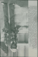 Rod Stewart Singer-songwriter. - Vintage Photograph