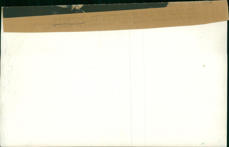 Rod Stewart Singer-songwriter. - Vintage Photograph