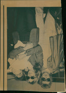 Rod Stewart Singer-songwriter. - Vintage Photograph