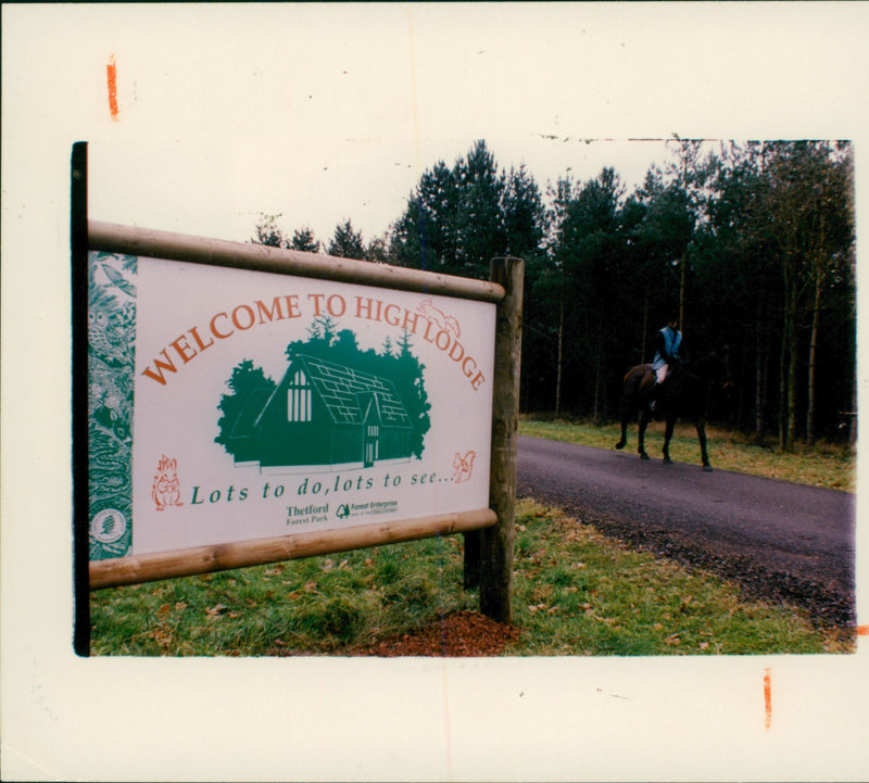 Thetford Forest:brandon high lodge centre. - Vintage Photograph