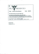 Nicholas Evans - Vintage Photograph