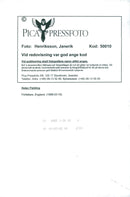 Helen Fielding - Vintage Photograph