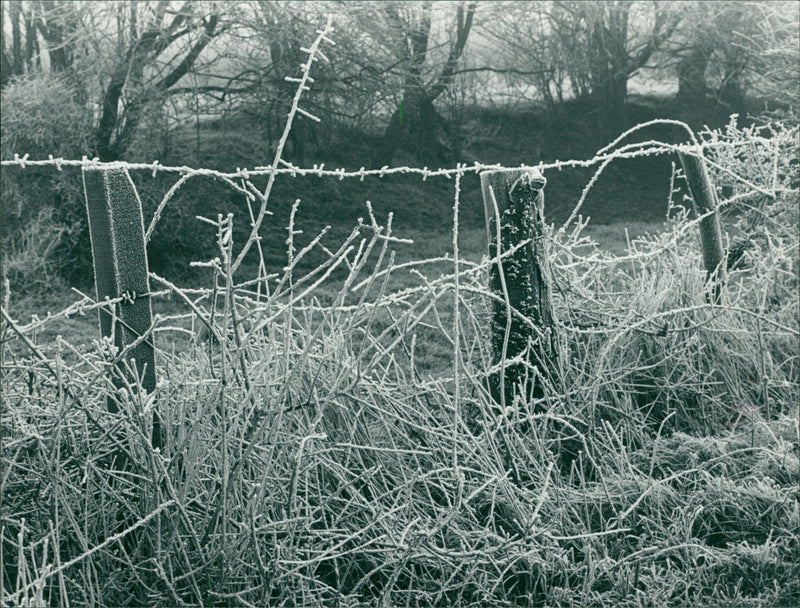 Melt water on top of other ice. - Vintage Photograph