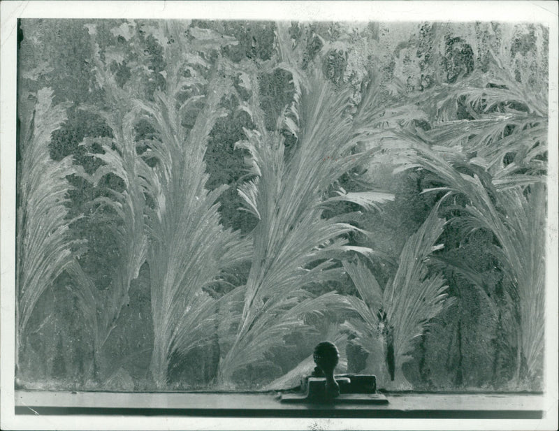 Weather Snow. - Vintage Photograph