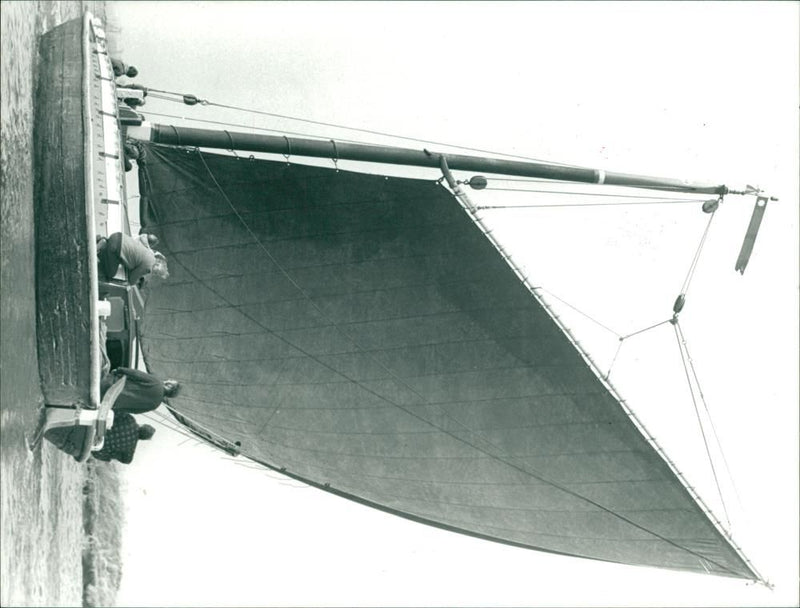 Wherry Albion - Vintage Photograph