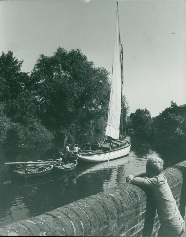 Wherry Albion - Vintage Photograph