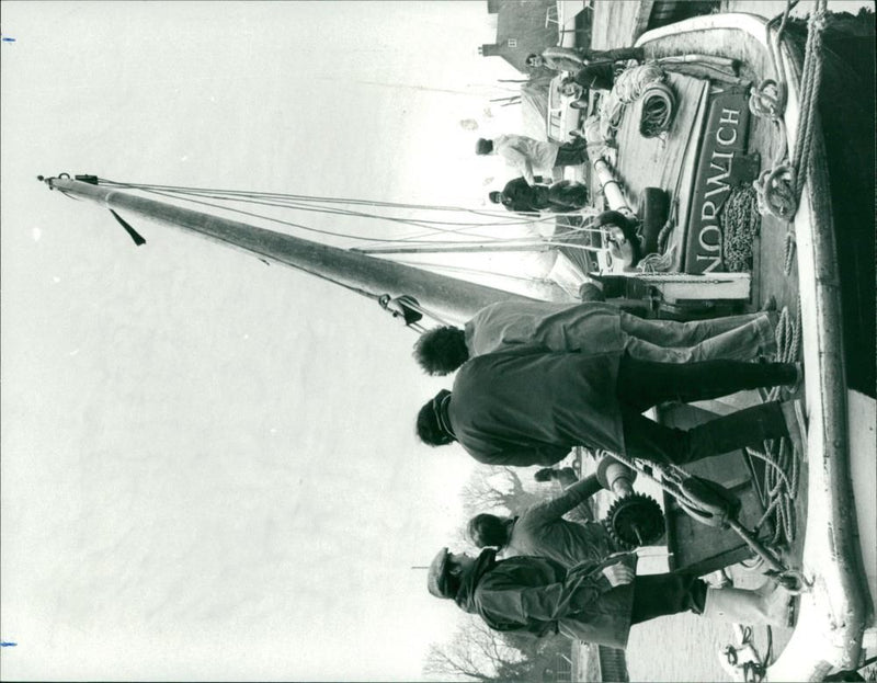 Wherry Albion - Vintage Photograph