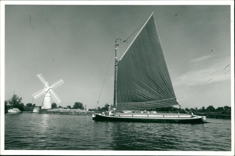 Wherry Albion - Vintage Photograph