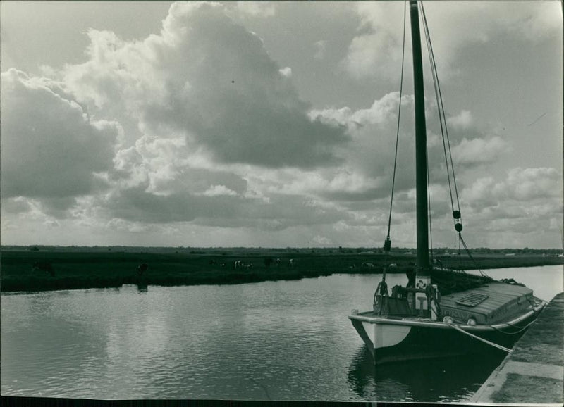 Wherry Albion - Vintage Photograph