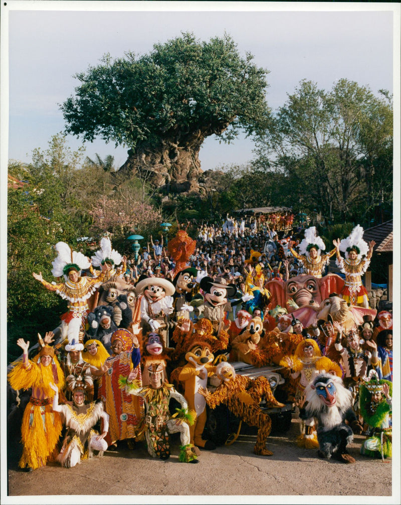 USA Disneyland animal kingdom. - Vintage Photograph