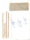 Expeditions and research trips f.r.o.m. 1951 - Vintage Photograph