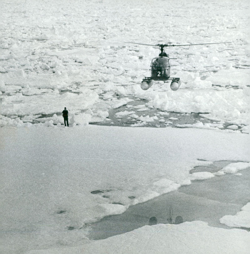 Expeditions and research trips f.r.o.m. 1951 - Vintage Photograph