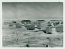 Expeditions and research trips f.r.o.m. 1951 - Vintage Photograph
