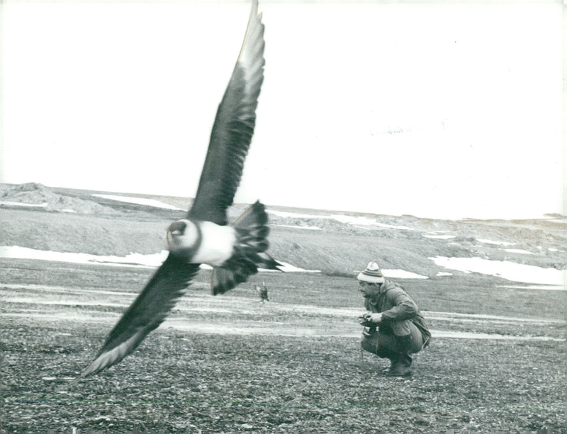 Expeditions and research trips f.r.o.m. 1951 - Vintage Photograph