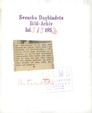 1953 DAGBLADETS HAS WHOLE FUNCTION COW PUT AUTO GEBYES ILLEGATAN KONS EXPEDITION - Vintage Photograph