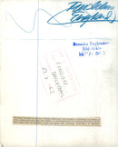 Princess Alexandra's wedding. Queen Elizabeth and Prince Philip and others heading out of the church - Vintage Photograph