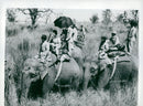 Queen Elizabeth and Prince Philip ride elephants at a tiger hunt in Nepal - Vintage Photograph