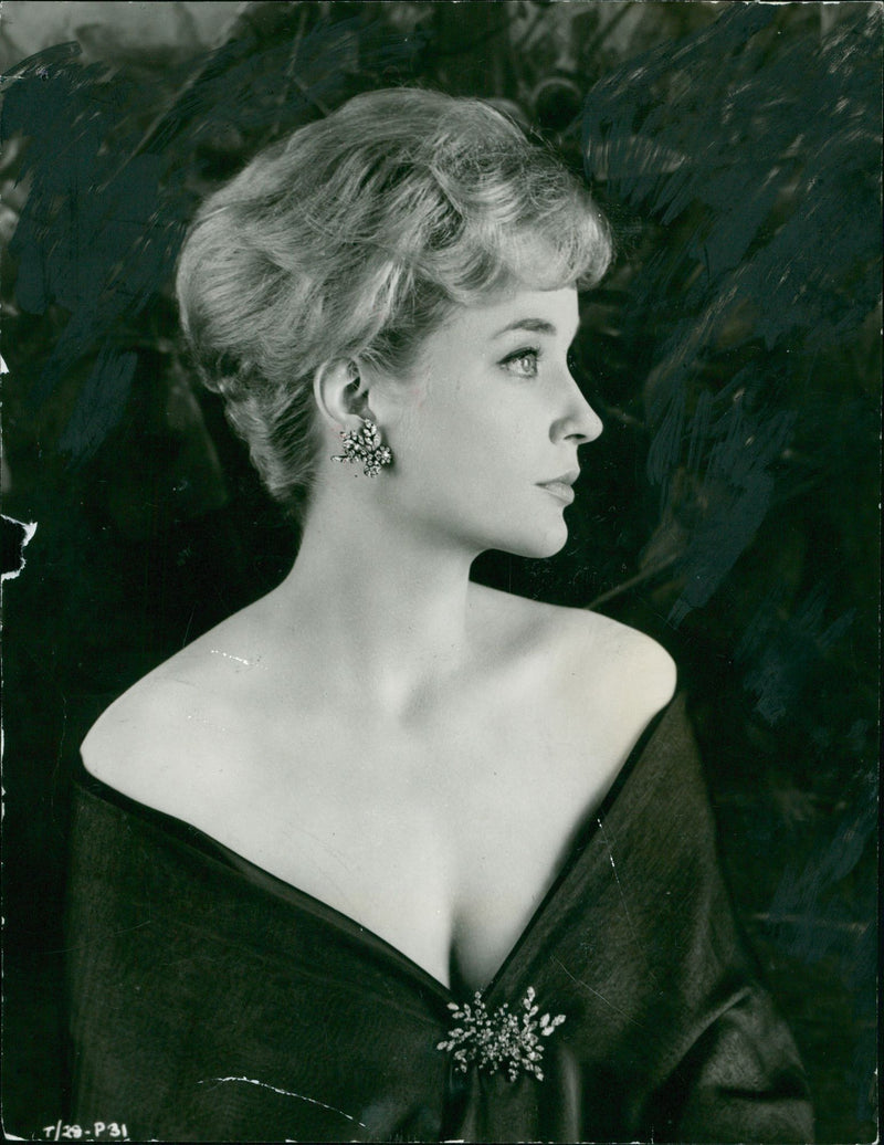 Sylvia Syms Actress. - Vintage Photograph