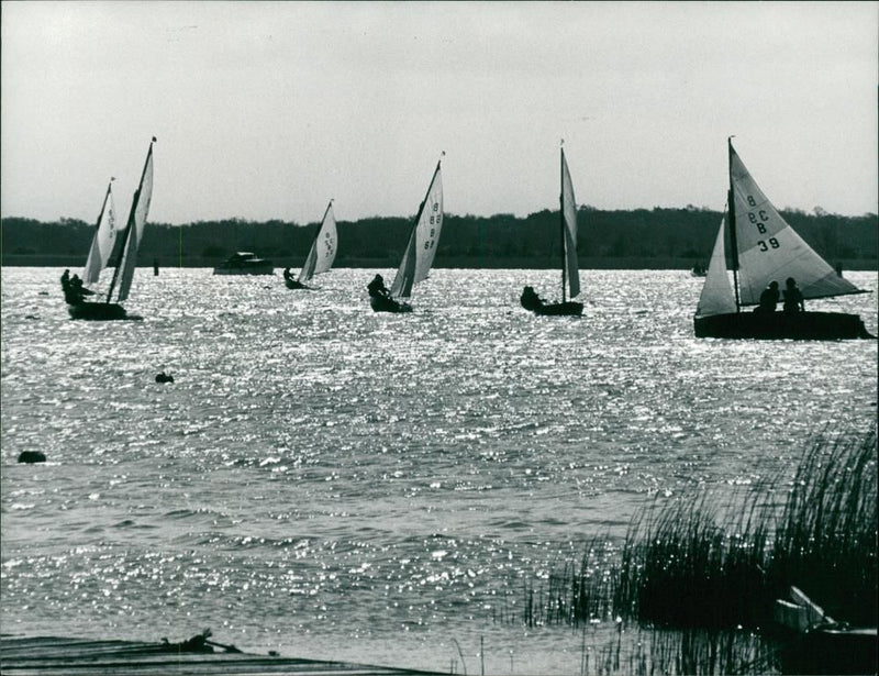 A yacht - Vintage Photograph