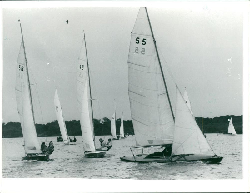 A yacht - Vintage Photograph