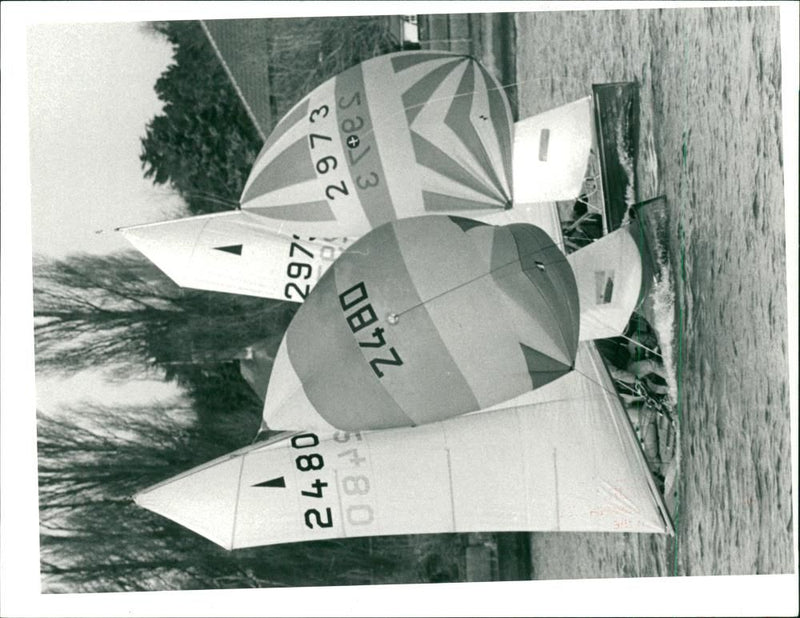 A yacht - Vintage Photograph