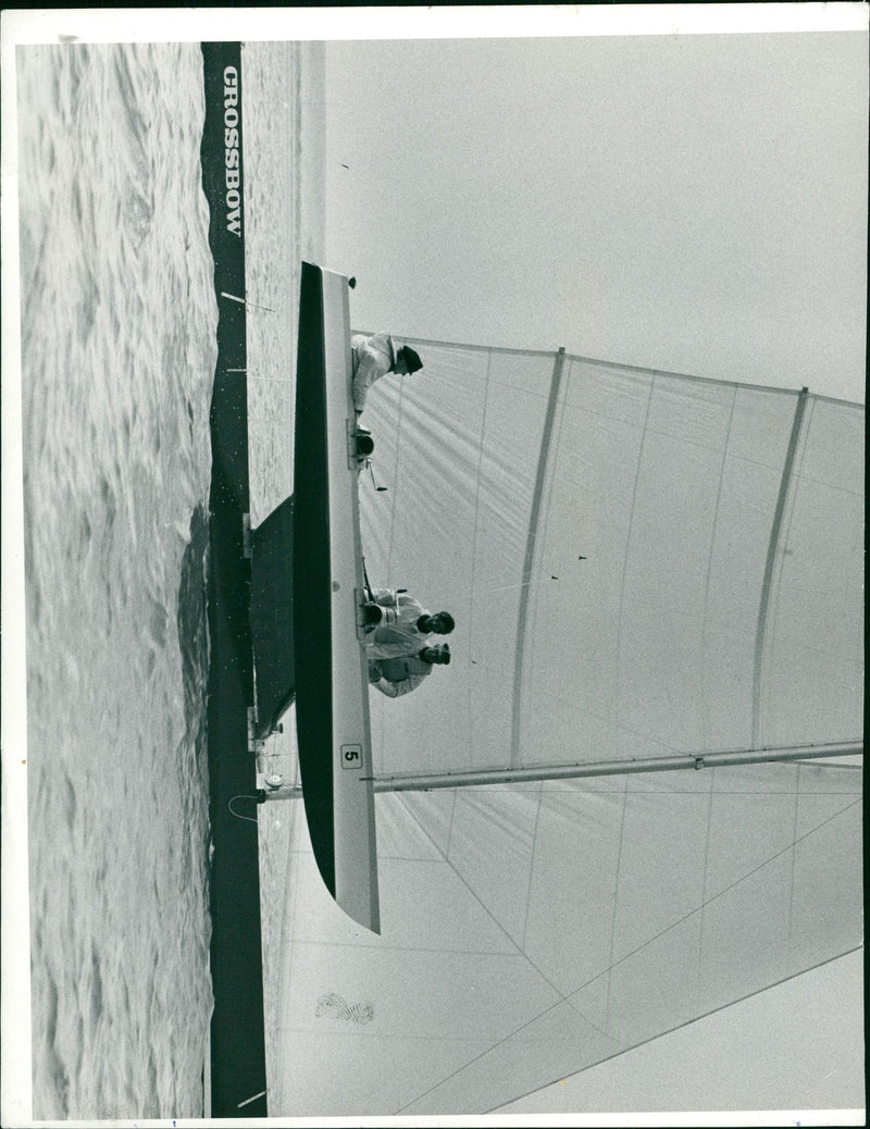 Yacht Catamarans Trimarans - Vintage Photograph